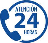 Servicio Ejecutivo 1